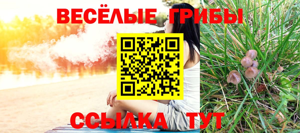 Галлюциногенные грибы Psilocybe  Псилоцибиновые грибы Magic Shrooms  Вход с VPN  Лесозаводск 