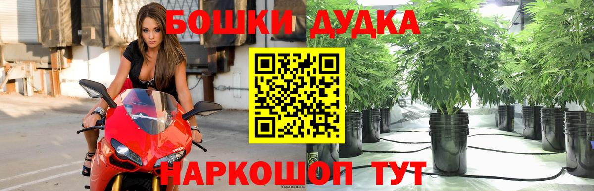 Каннабис SATIVA & INDICA  Шишки марихуана конопля  Марихуана семена  Вход с VPN  Лесозаводск 